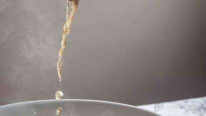 מרק פו | גיא אשכנזי, Agency Karela