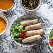 ספרינג רולס | גיא אשכנזי, Agency Karela