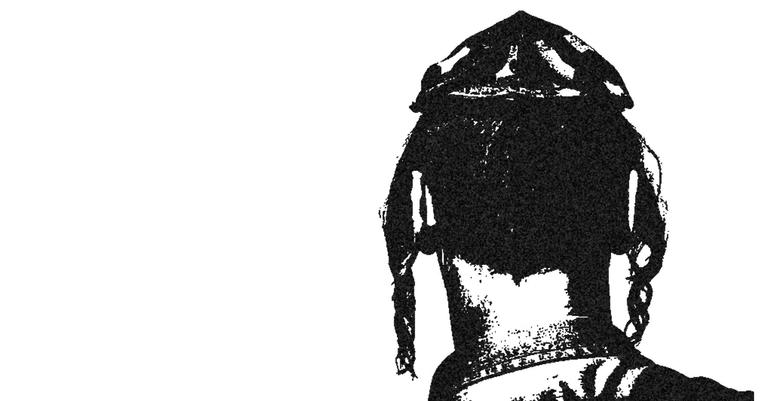 חיים גולדברג, פלאש 90