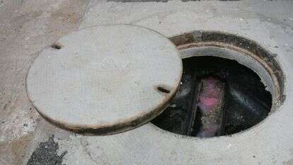 ביוב, אילוסטרציה | מרים צחי ביוב, אילוסטרציה | מרים צחי