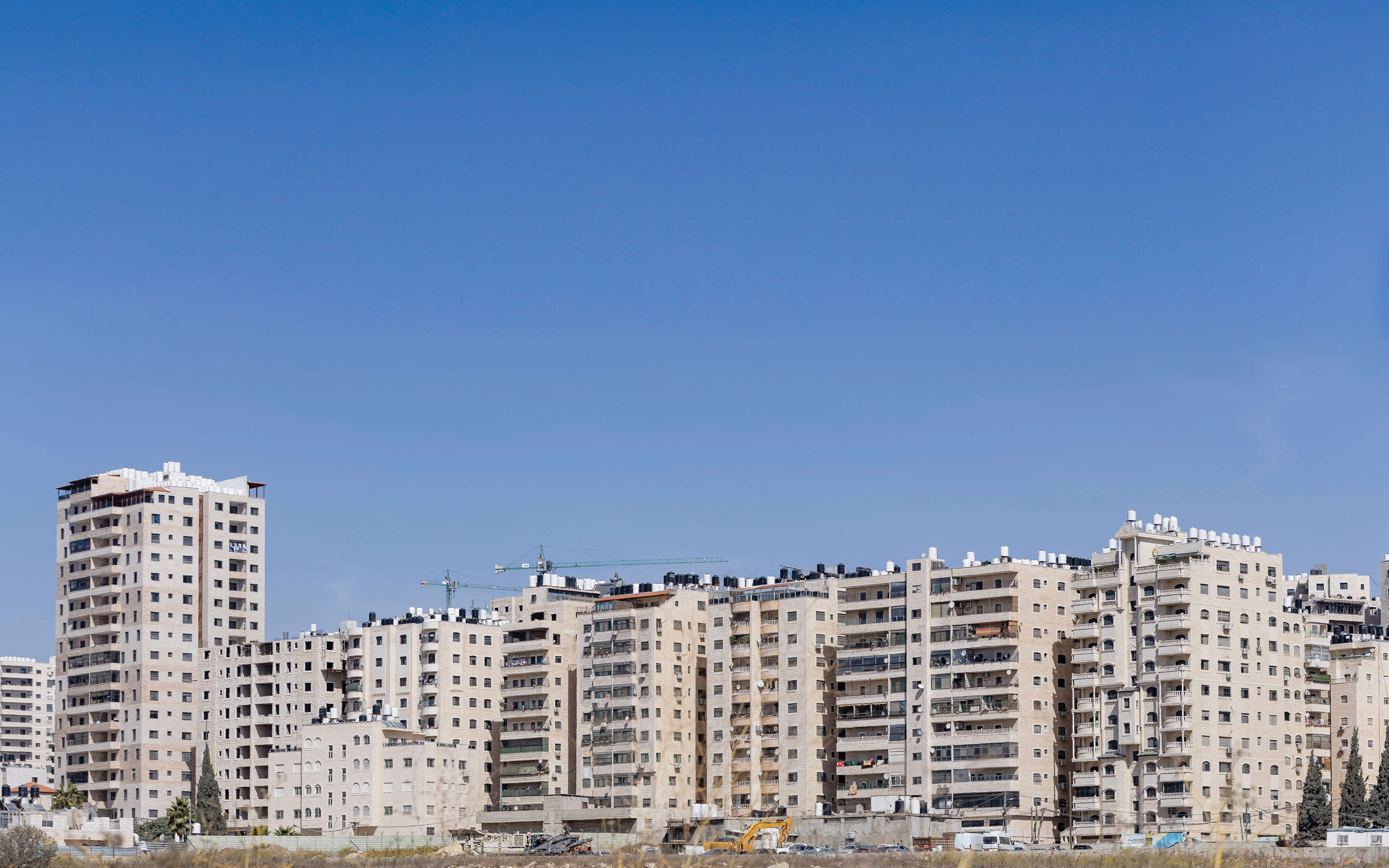 החלונות הגבוהים | נעמה שטרן החלונות הגבוהים | נעמה שטרן