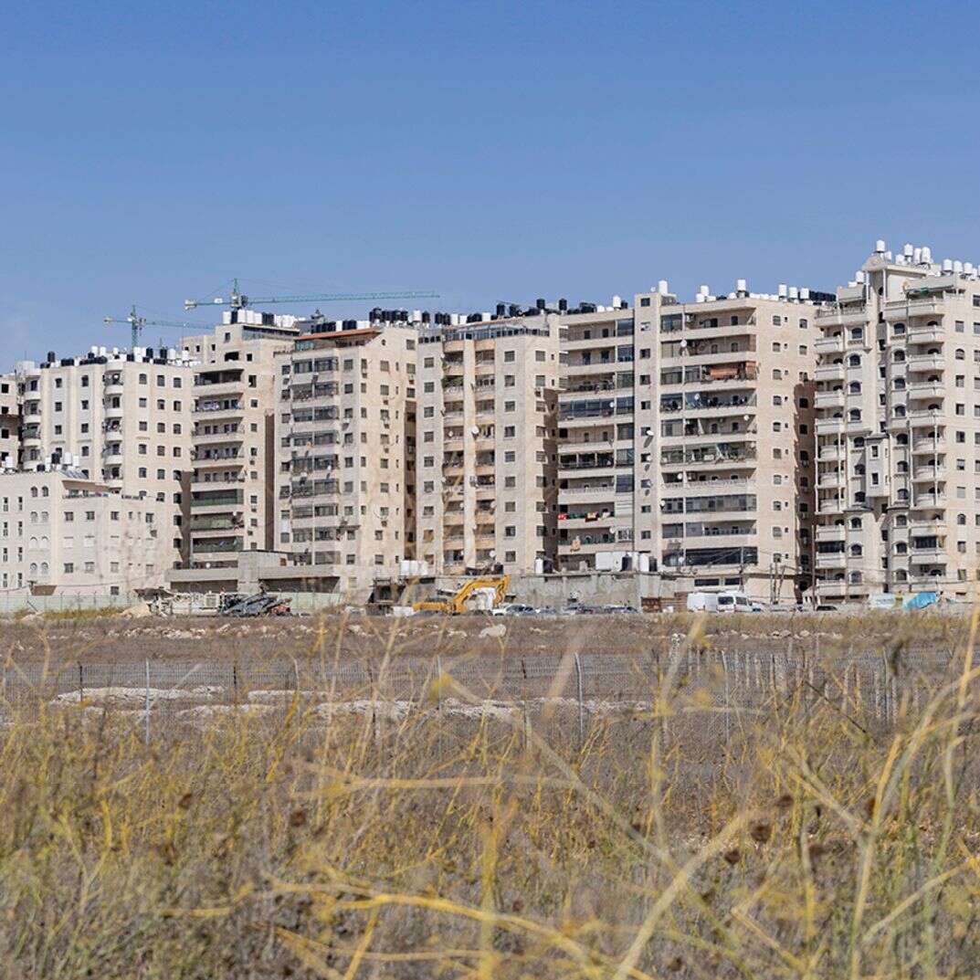 החלונות הגבוהים | נעמה שטרן