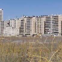 החלונות הגבוהים דף הבית | נעמה שטרן