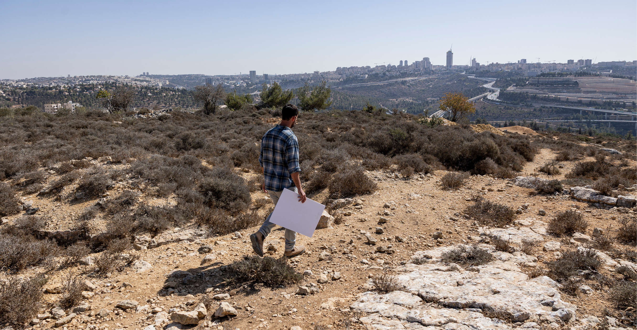 נעמה שטרן נעמה שטרן