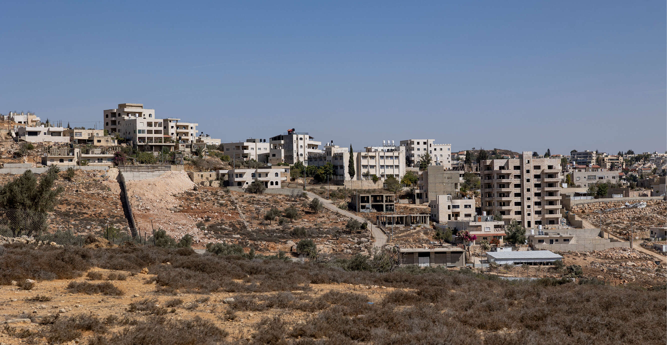 נעמה שטרן נעמה שטרן