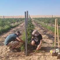 תיירות שמעצימה את החקלאות. יקב תושיה | דיוויד סילברמן
