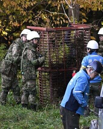 חיילים יפנים מתקינים מלכודת דובים בעיר קאזונו בצפון יפן, שלשום | איי.פי חיילים יפנים מתקינים מלכודת דובים בעיר קאזונו בצפון יפן, שלשום | איי.פי
