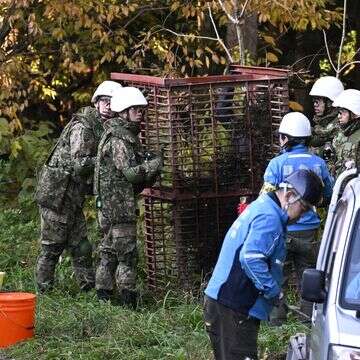 חיילים יפנים מתקינים מלכודת דובים בעיר קאזונו בצפון יפן, שלשום | איי.פי