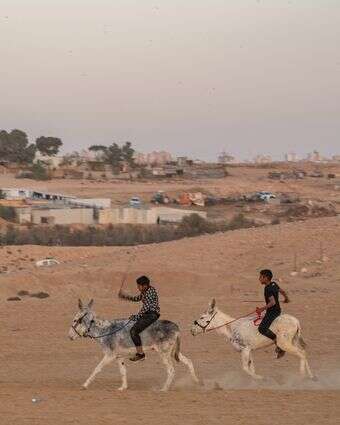 פזורה בדואית בנגב | יניב נדב, פלאש 90