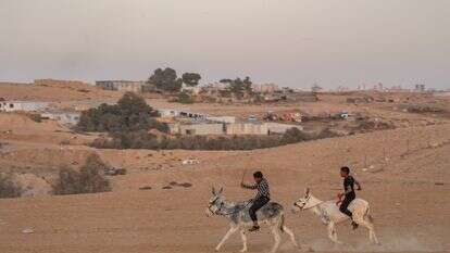 פזורה בדואית בנגב | יניב נדב, פלאש 90