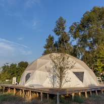 סגירת מעגל עמוד הבית | יוסי אלוני