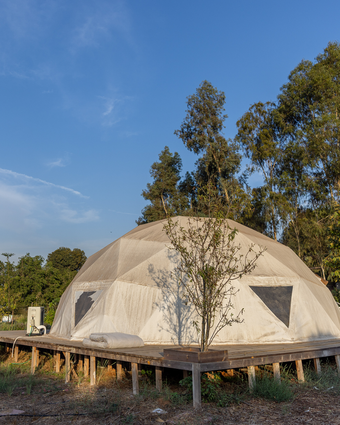 סגירת מעגל עמוד הבית | יוסי אלוני