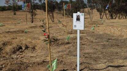 השיקום הוא רק ההתחלה, האתגר הוא הצמיחה. 
חנוכת יער חרבות ברזל בחודש שעבר | אלכס קולומויסקי, מערך הסברה קק"ל