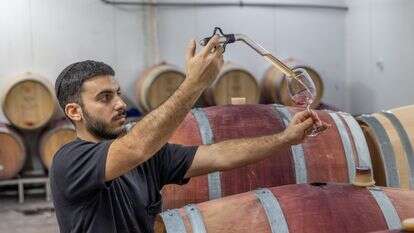 בקרת איכות ביקב | יוסי אלוני בקרת איכות ביקב | יוסי אלוני