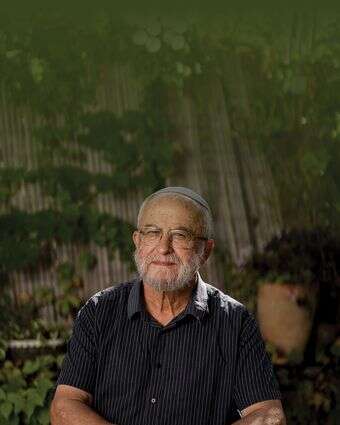 תורת הארץ | נעמה שטרן