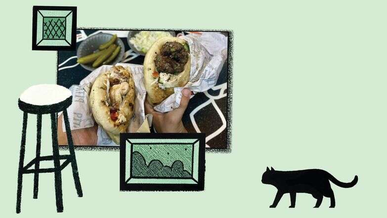 חתוליות ראש פיתה | ג'ו ונאוה חתוליות ראש פיתה | ג'ו ונאוה