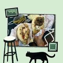 חתוליות ראש פיתה | ג'ו ונאוה חתוליות ראש פיתה | ג'ו ונאוה