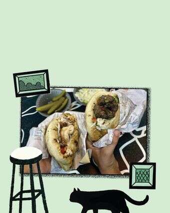 חתוליות ראש פיתה | ג'ו ונאוה חתוליות ראש פיתה | ג'ו ונאוה