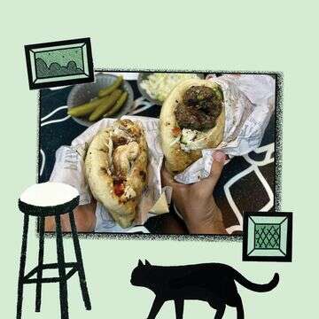 חתוליות ראש פיתה | ג'ו ונאוה חתוליות ראש פיתה | ג'ו ונאוה