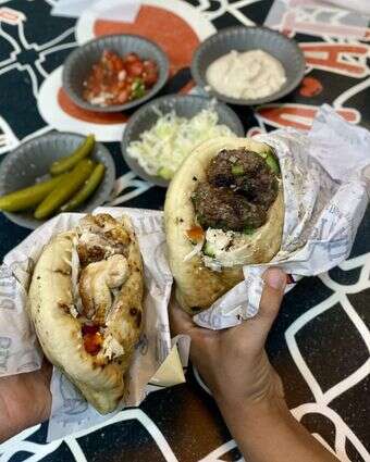 חתוליות ראש פיתה דף הבית | ג'ו ונאוה