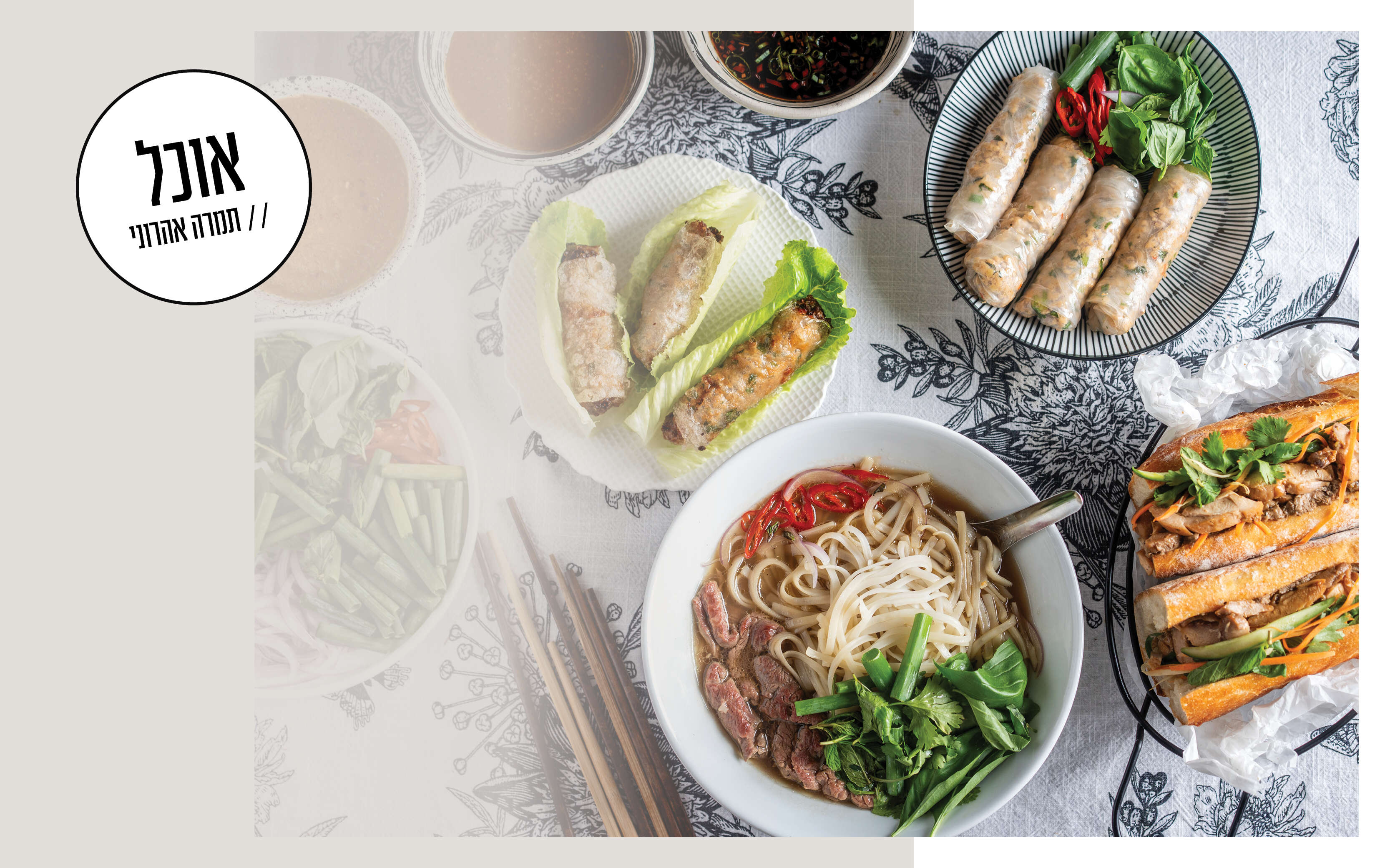 בוקר טוב וייטנאם | גיא אשכנזי, Karela Agency