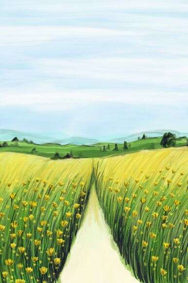 איור: שרון ארדיטי איור: שרון ארדיטי