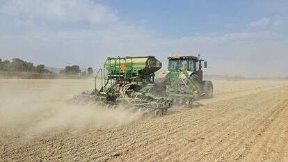 זריעת גזר וחיטת חורף בשדות הגד"ש בעמק החולה | צילום וידאו וסטילס: פייסל הייב, ג"ג, החברה לפיתוח הגליל