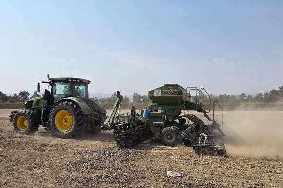זריעת גזר וחיטת חורף בשדות הגד"ש בעמק החולה | צילום וידאו וסטילס: פייסל הייב, ג"ג, החברה לפיתוח הגליל