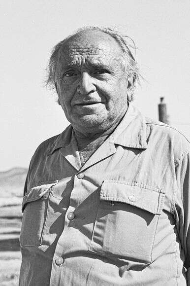 קרא "להיפטר מהנהלתו של נובומייסקי". יהודה אלמוג | משה פרידמן, לע"מ