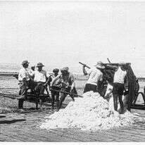 אוסף חברת האשלג הארץ ישראלית בים המלח | ארכיון התמונות יד יצחק בן צבי אוסף חברת האשלג הארץ ישראלית בים המלח | ארכיון התמונות יד יצחק בן צבי