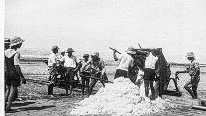 אוסף חברת האשלג הארץ ישראלית בים המלח | ארכיון התמונות יד יצחק בן צבי