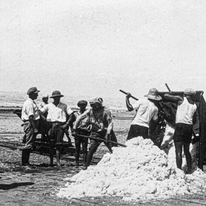 מלח על הפצעים דף הבית | אוסף חברת האשלג הארץ ישראלית בים המלח, ארכיון התמונות יד יצחק בן צבי