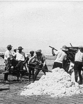 מלח על הפצעים דף הבית | אוסף חברת האשלג הארץ ישראלית בים המלח, ארכיון התמונות יד יצחק בן צבי מלח על הפצעים דף הבית | אוסף חברת האשלג הארץ ישראלית בים המלח, ארכיון התמונות יד יצחק בן צבי