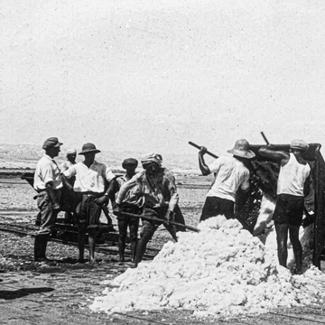 מלח על הפצעים דף הבית | אוסף חברת האשלג הארץ ישראלית בים המלח, ארכיון התמונות יד יצחק בן צבי