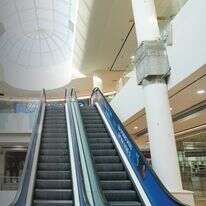 השקט שנשאר | אייל מרגולין, ג'יני השקט שנשאר | אייל מרגולין, ג'יני