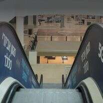 השקט שנשאר | אייל מרגולין, ג'יני