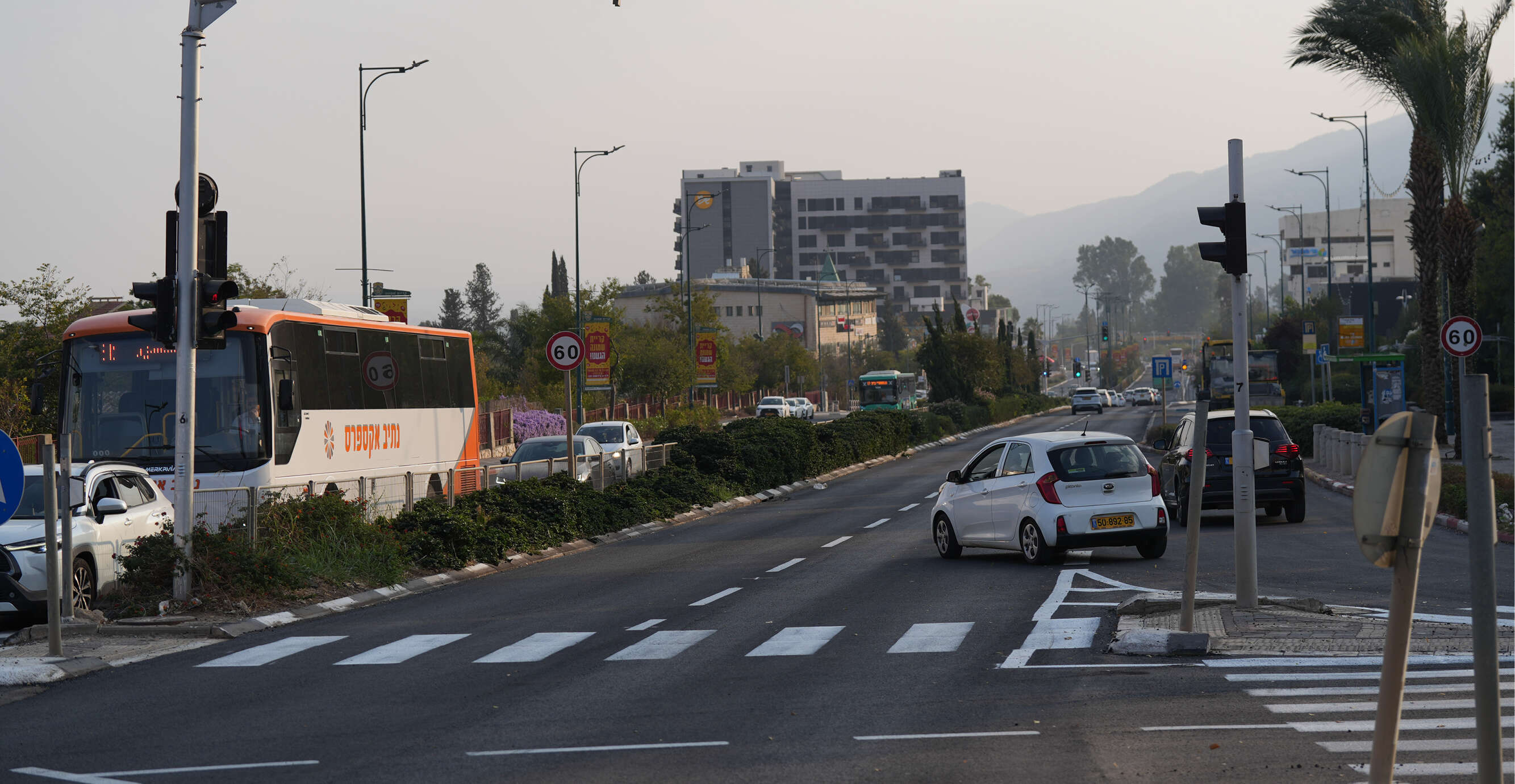 אייל מרגולין, ג'יני אייל מרגולין, ג'יני