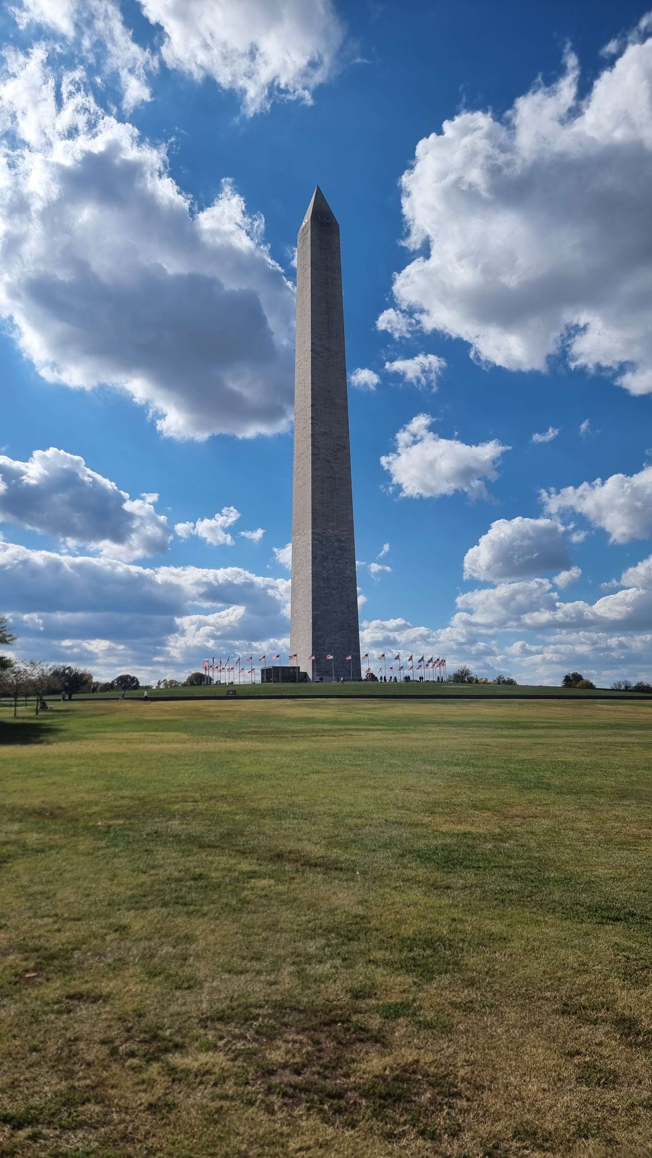 יאיר אגמון יאיר אגמון