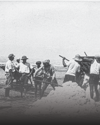 מלח על הפצעים עמוד הבית | אוסף חברת האשלג הארץ ישראלית בים המלח, ארכיון התמונות יד יצחק בן צבי