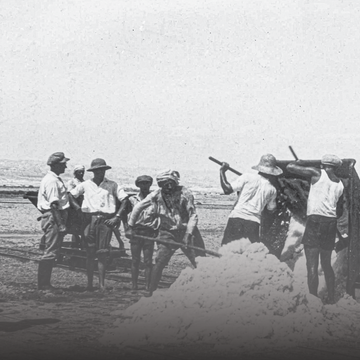 מלח על הפצעים עמוד הבית | אוסף חברת האשלג הארץ ישראלית בים המלח, ארכיון התמונות יד יצחק בן צבי