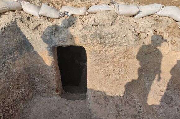 פתח המקווה | הודיה כריש־חזוני פתח המקווה | הודיה כריש־חזוני