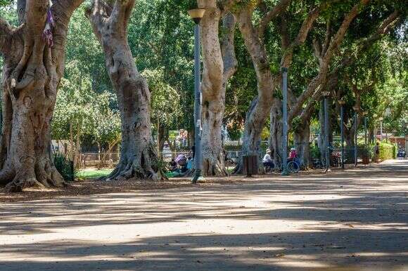 ספר תל־אביבי מובהק, אבל לא רק. גן מאיר בתל־אביב | שאטרסטוק ספר תל־אביבי מובהק, אבל לא רק. גן מאיר בתל־אביב | שאטרסטוק