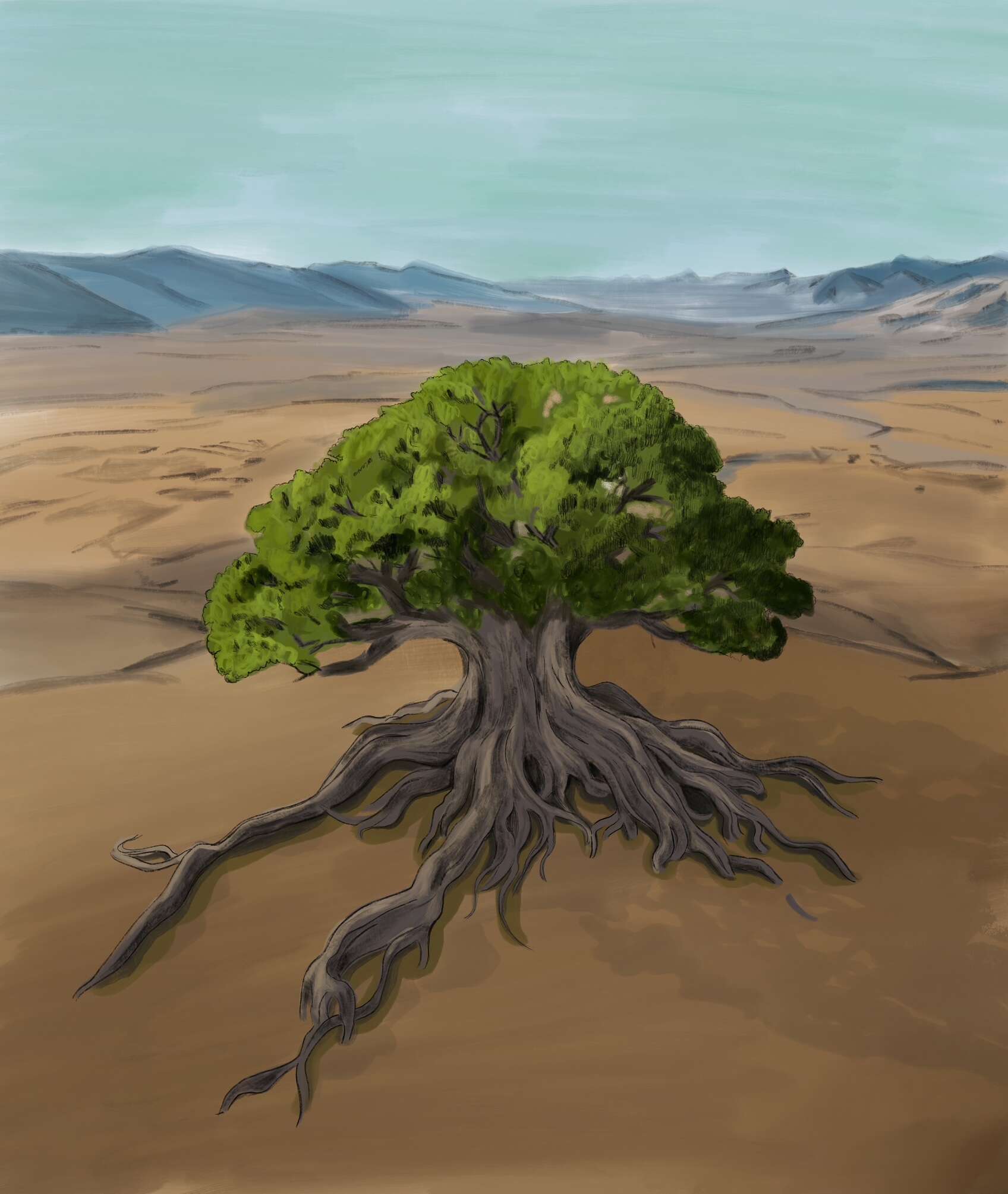 איור: שרון ארדיטי