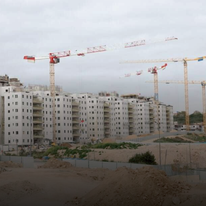 דוד כהן, פלאש 9