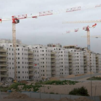 דירות חדשות | דוד כהן, פלאש 9 דירות חדשות | דוד כהן, פלאש 9
