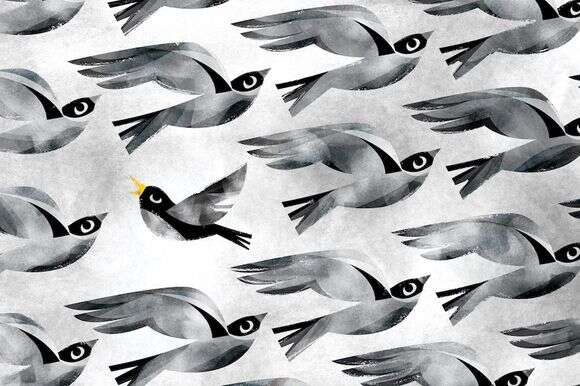 איור: רינת גלבוע