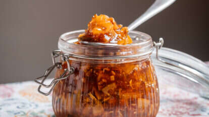 ריבת תפוז ג'ינג'ר | גיא אשכנזי, Agency Karela