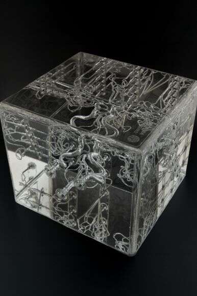 רובוטים בכלי הדם | הוושינגטון פוסט