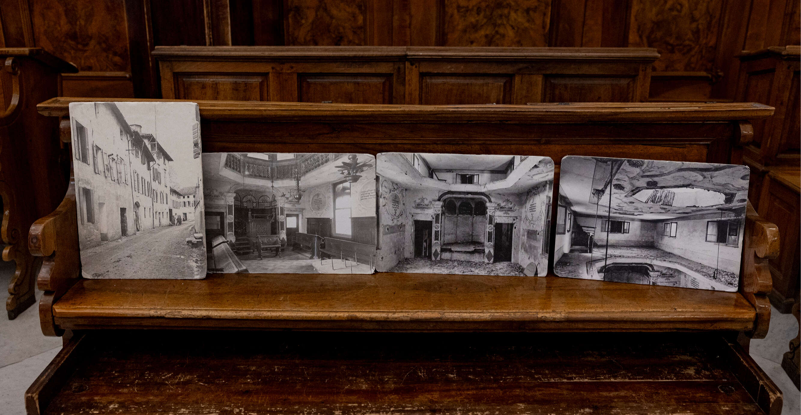 נעמה שטרן נעמה שטרן