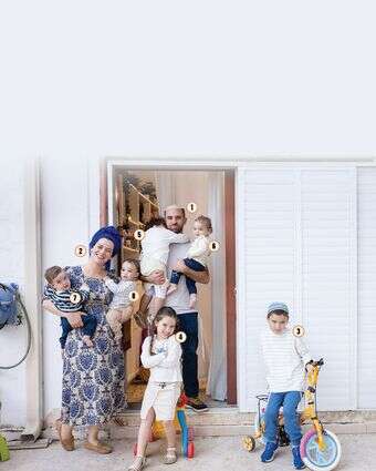 נדלן זלצמן | אריק סולטן